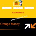 How to Transfer any amount from MTN Mobile Money (MoMo) to Orange Money Online for Free and Vice Versa