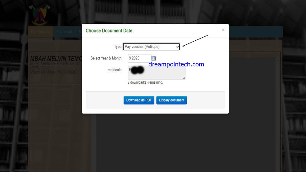 In the web interface, select 'Pay Voucher' or 'Antilope'.