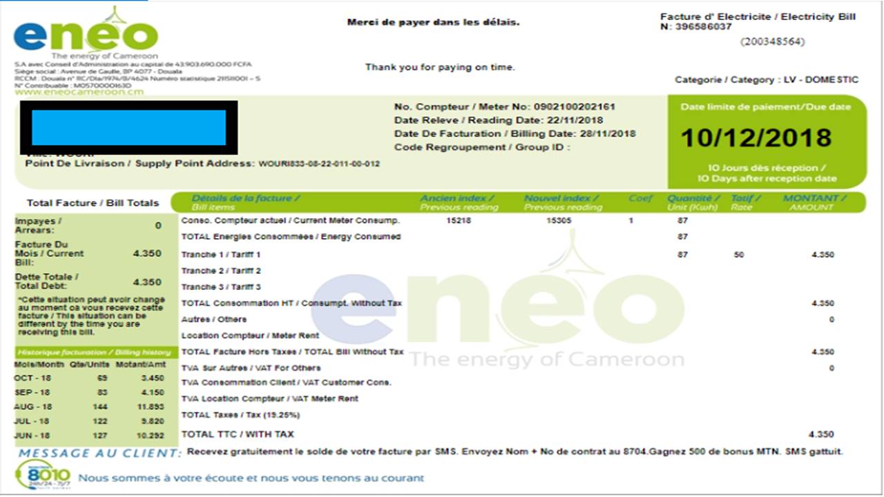 Sample ENEO electricity Bill