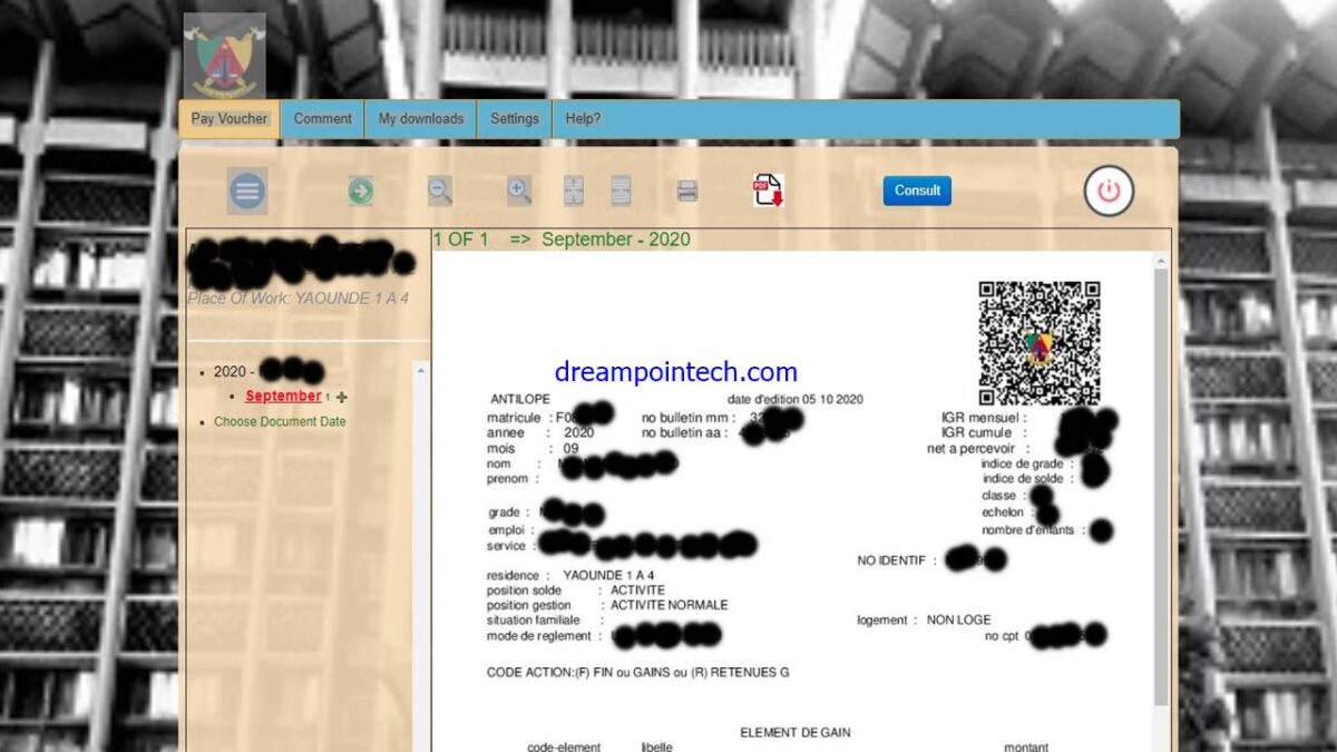 sample payslip cameroon exemple de bulletin de salaire au cameroun