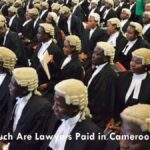 How Much Are Lawyers Paid in Cameroon? Salary of Cameroonian Lawyers