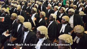 How Much Are Lawyers Paid in Cameroon? Salary of Cameroonian Lawyers