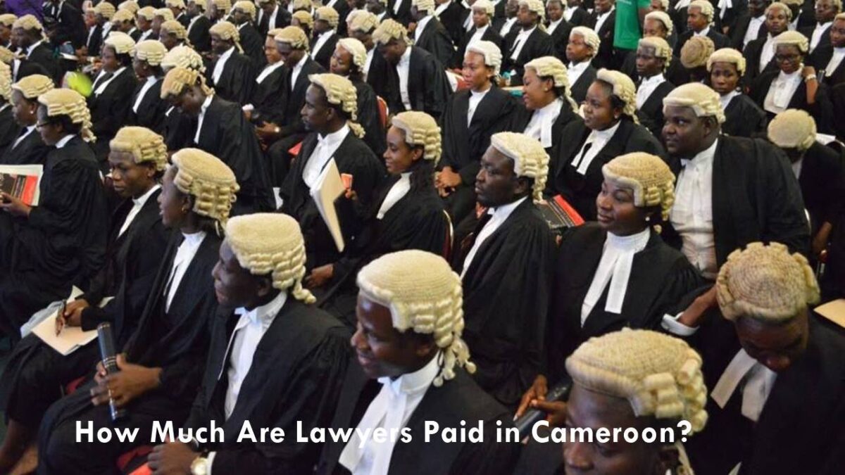 How Much Are Lawyers Paid in Cameroon? Salary of Cameroonian Lawyers