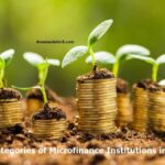 List and Categories of Microfinance Institutions in Cameroon PDF