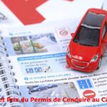 Comment faire une Demande et Obtenir un Permis de Conduire au Cameroun?