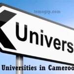 Top 10 Cheapest State or Government-Owned Universities in Cameroon