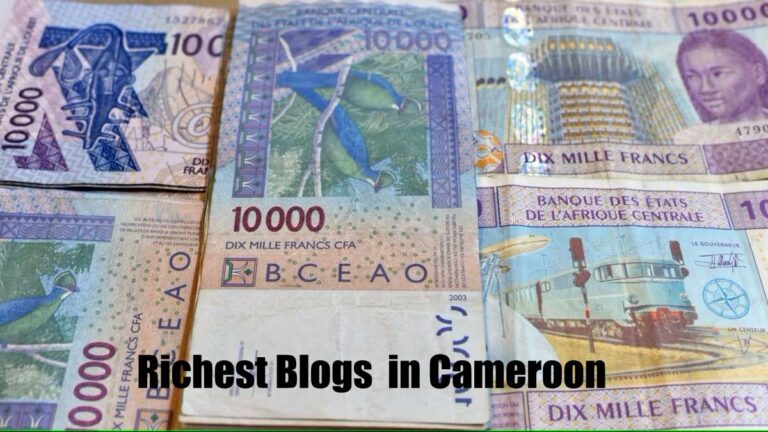 Richest Blogs and Bloggers in Cameroon