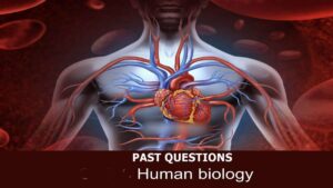 Human Biology Past Questions and Answers