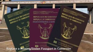 Replace a Missing/Stolen Cameroonian Passport
