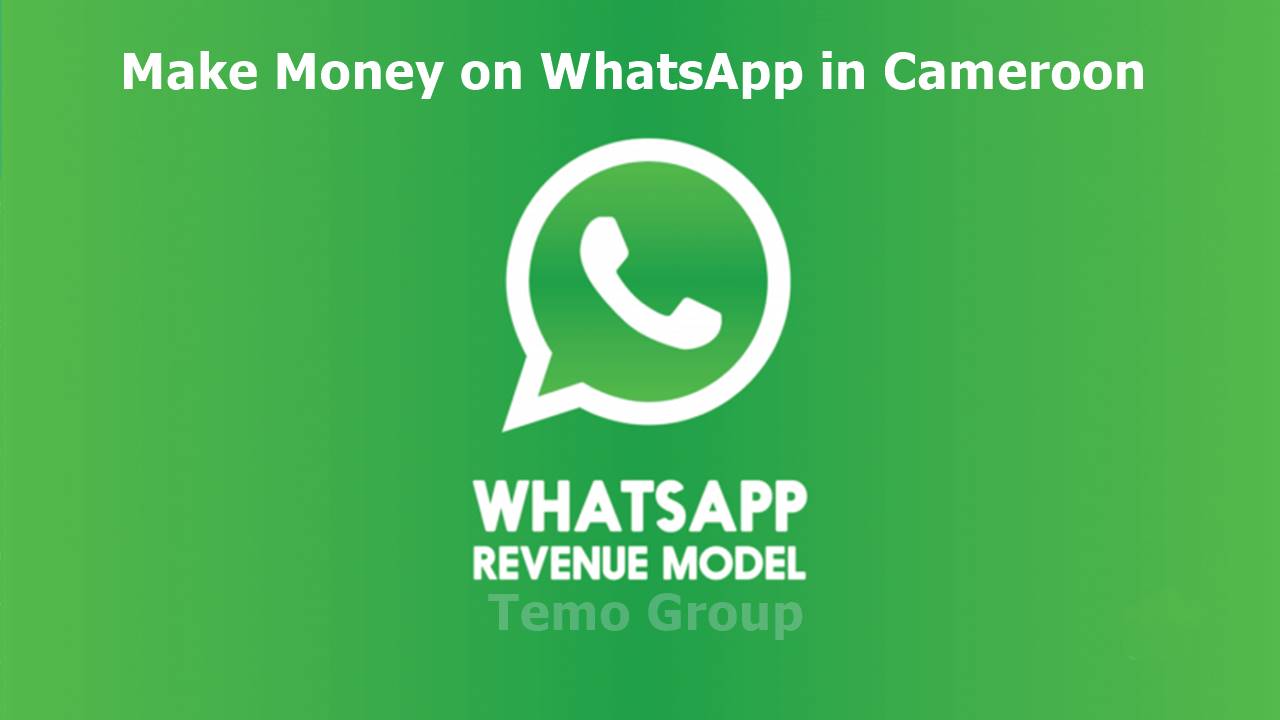 Money on WhatsApp in Cameroon