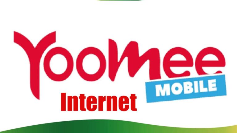 Updated Yoomee bundles