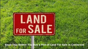Plot of Land For Sale