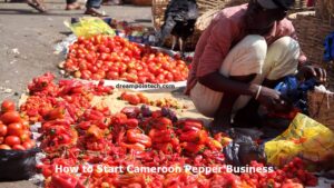 Start Cameroon Pepper Business in Cameroon