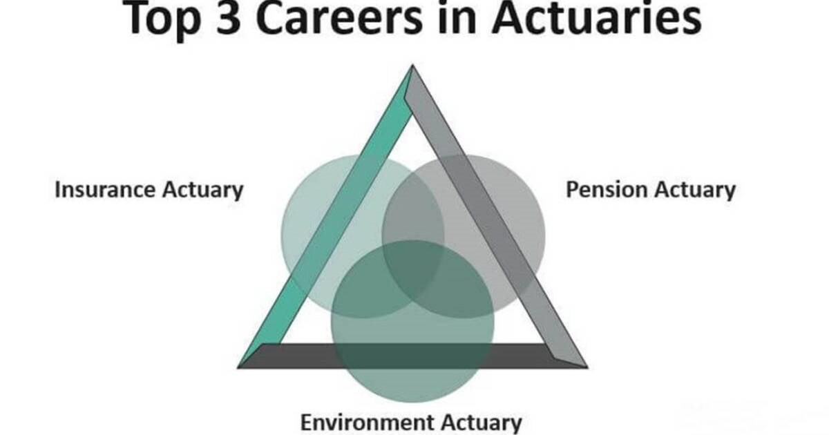Actuaries in the insurance industry