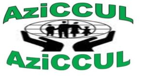 Azire Cooperative Credit Union as a money lender in Cameroon