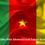Best Jobs After Advanced Level Subject Series