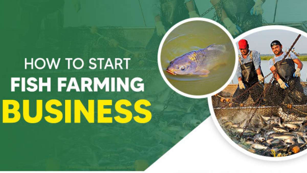 Fish Farming in Cameroon
