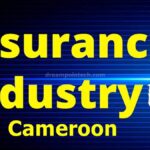 Guide on the overview of the insurance industry in Cameroon