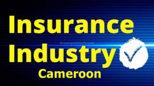 Guide on the overview of the insurance industry in Cameroon