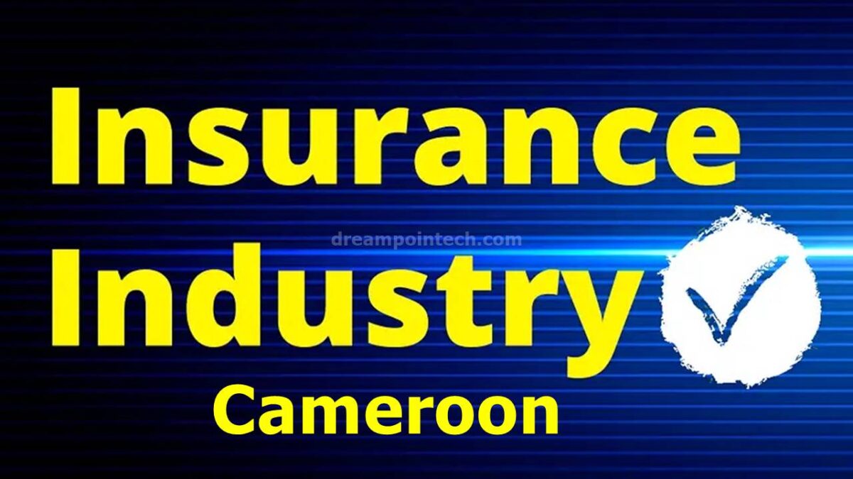 Guide on the overview of the insurance industry in Cameroon
