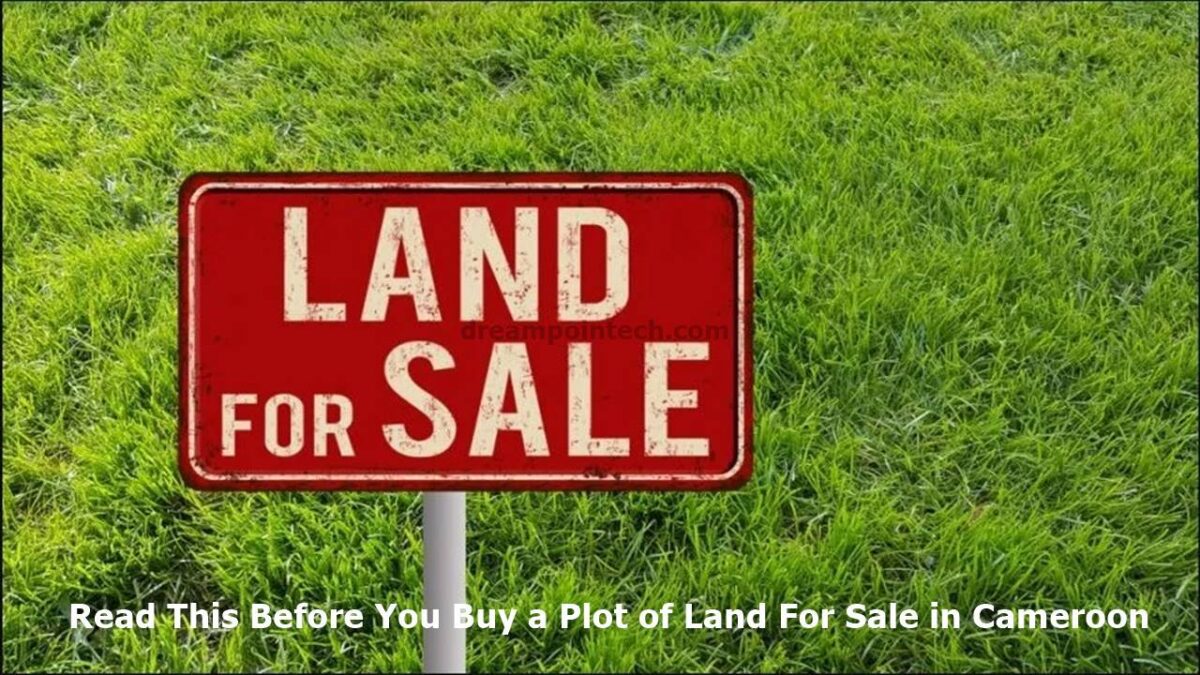 Guide on purchasing a Plot of Land For Sale in Cameroon