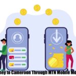 Send Money to Cameroon Through MTN Money