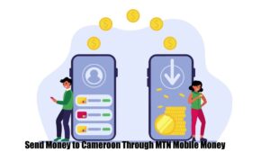 Send Money to Cameroon Through MTN Money