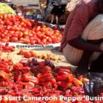 Start Cameroon Pepper Business in Cameroon