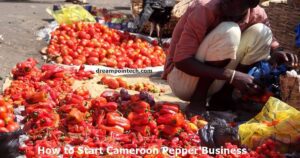 Start Cameroon Pepper Business in Cameroon