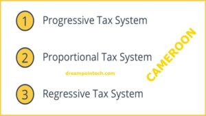 Guide on the tax system of Cameroon