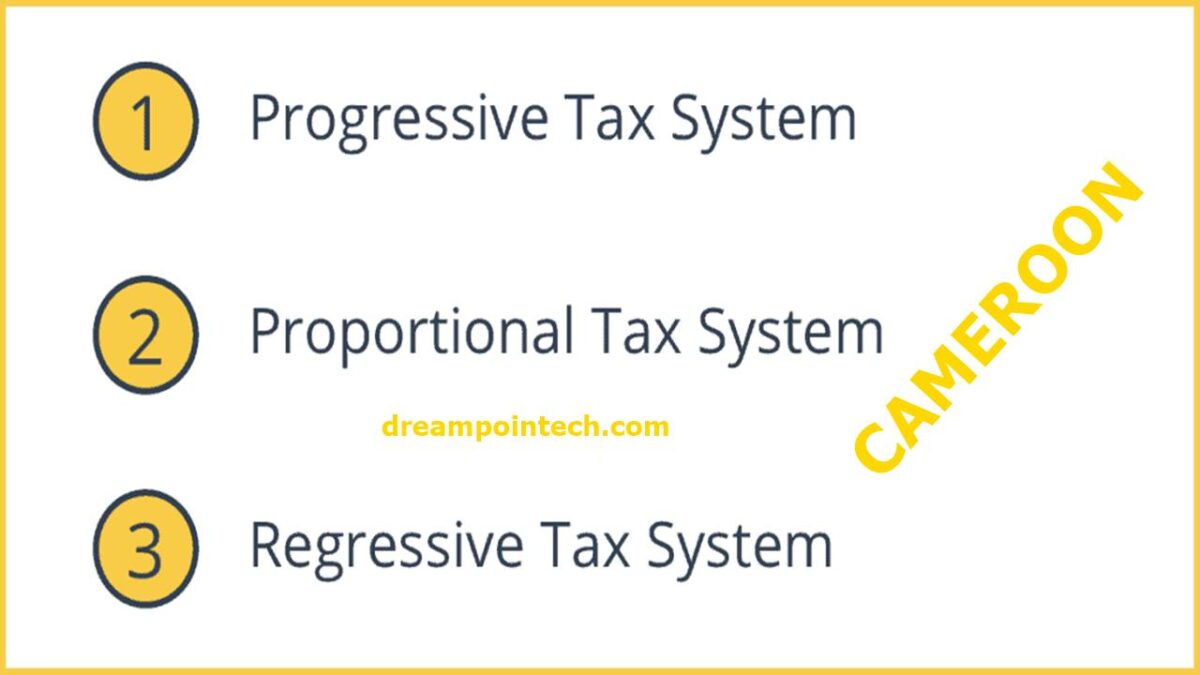Guide on the tax system of Cameroon