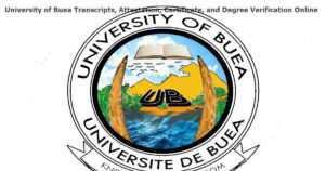 The various forms of online verifications in the University of Buea Cameroon