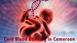 Family versus Community cord blood banking