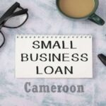 Apply and Get a Small Business Loan in Cameroon