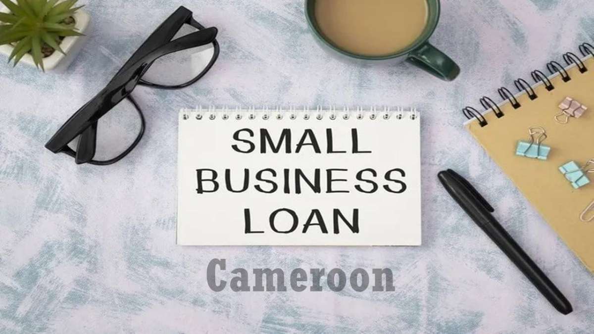 Apply and Get a Small Business Loan in Cameroon