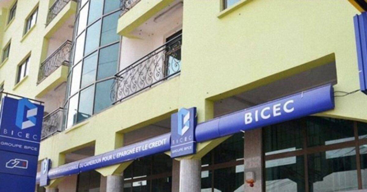 BICEC as a money lender in Cameroon