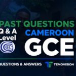 Questions d'examen du Cameroun GCE O et A-Level d'avant-dernière année