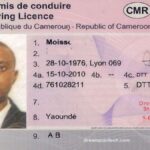 Categories Of Driver's License In Cameroon