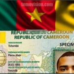 Make an ID in Cameroon