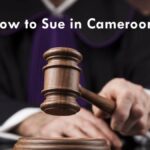 Guide on how to sue someone or a company in court in Cameroon