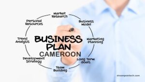 How to write a business plan (proposal) in Cameroon