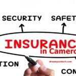 Insurance Policy in Cameroon