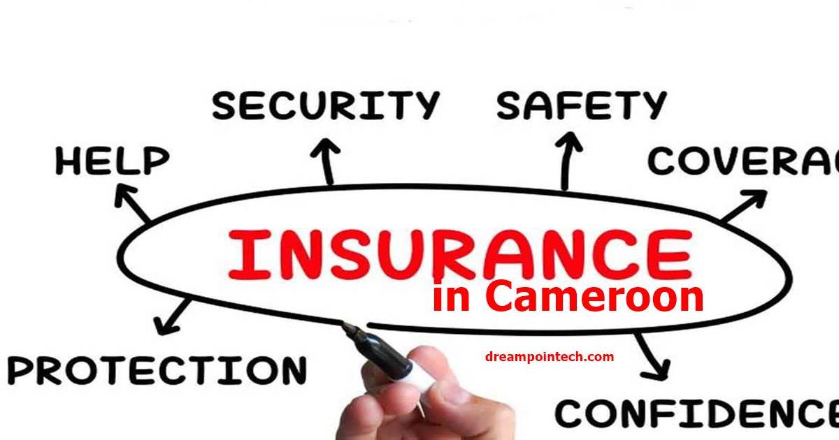 Insurance Policy in Cameroon