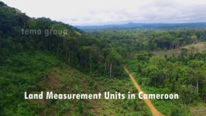 Measurement Units in Cameroon