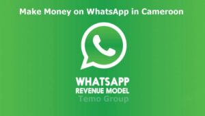 8 Ways Make money on WhatsApp in Cameroon