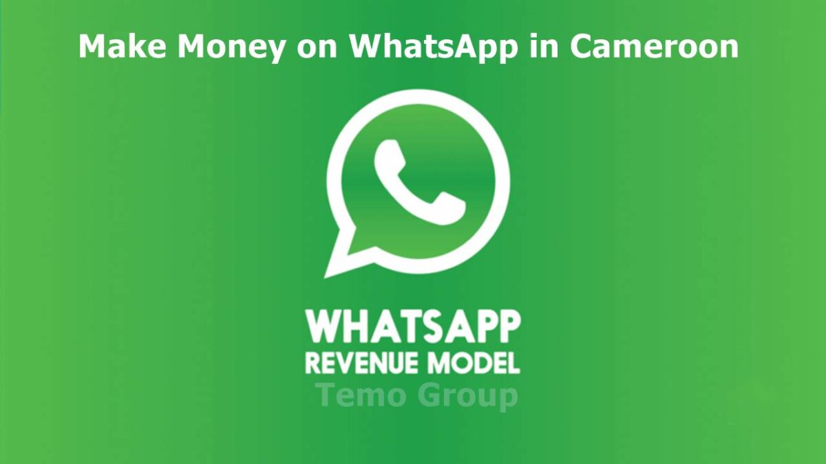 8 Ways Make money on WhatsApp in Cameroon