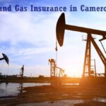Guide on oil and gas law in Cameroon