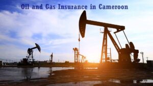 Guide on oil and gas law in Cameroon