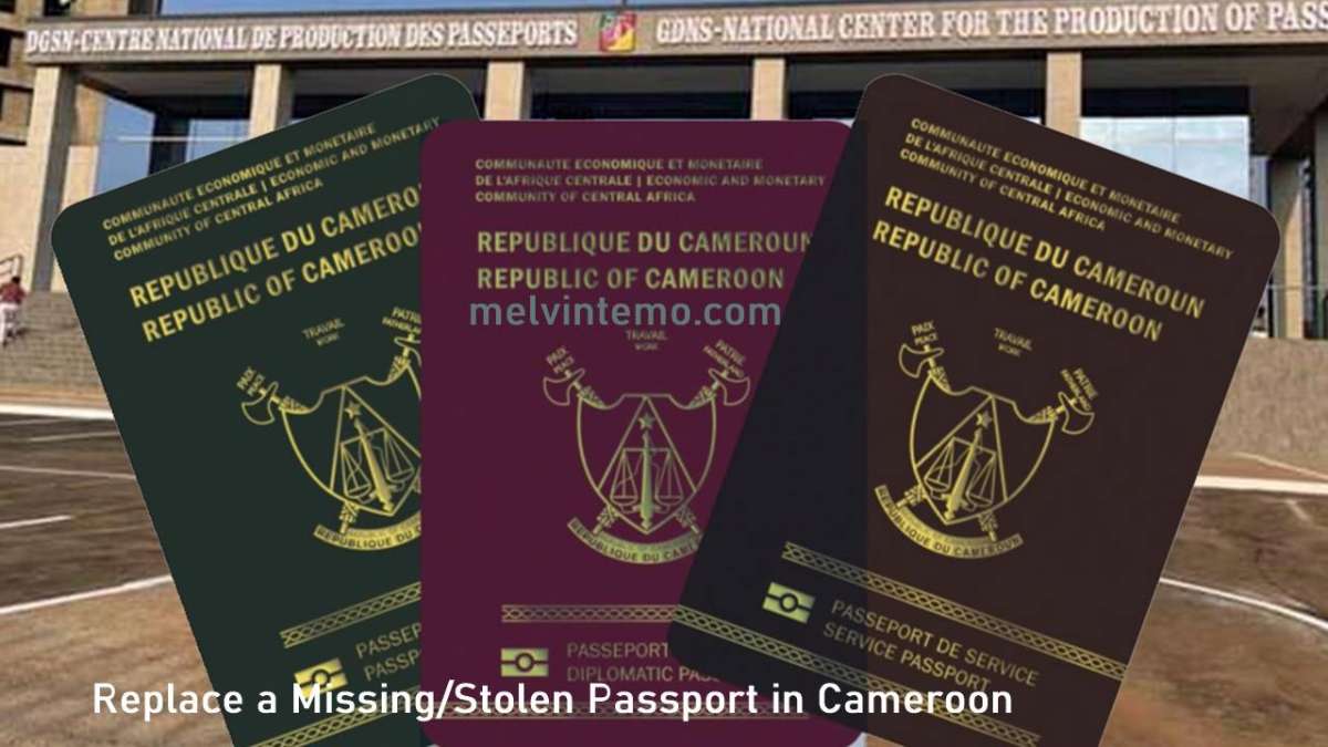 Replace a Missing or Stolen Cameroonian Passport