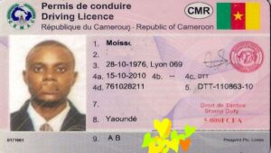 Sample Driver's License in Cameroon